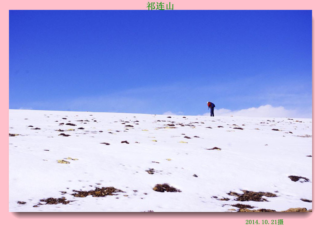 _igp6405_.jpg