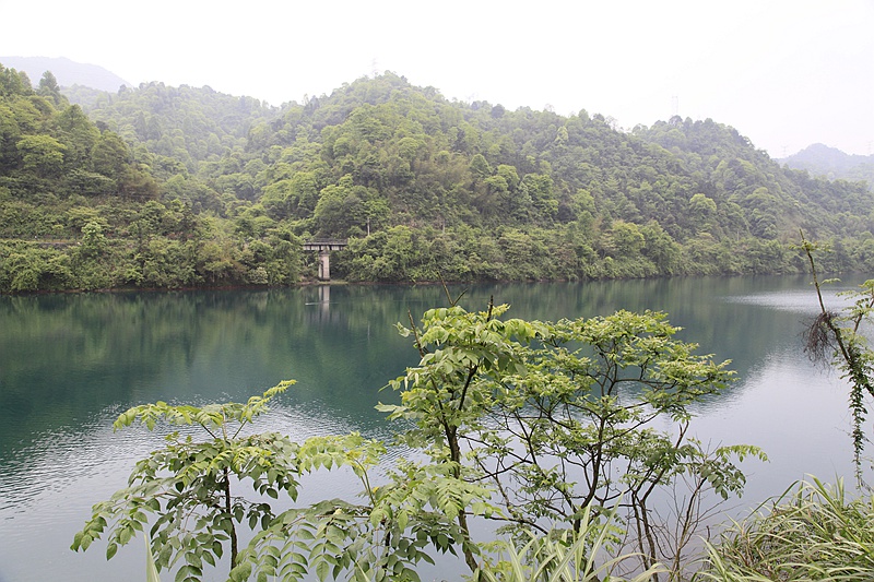 _mg_8845.jpg