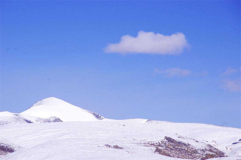 _igp6411_.jpg