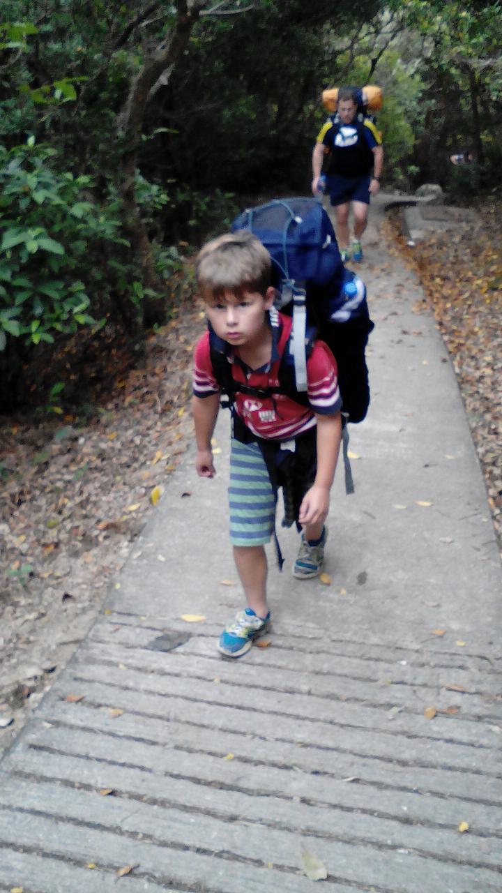 2015326160752000.jpg