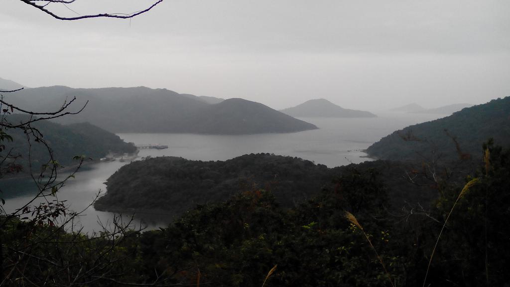 img_20150219_012929.jpg