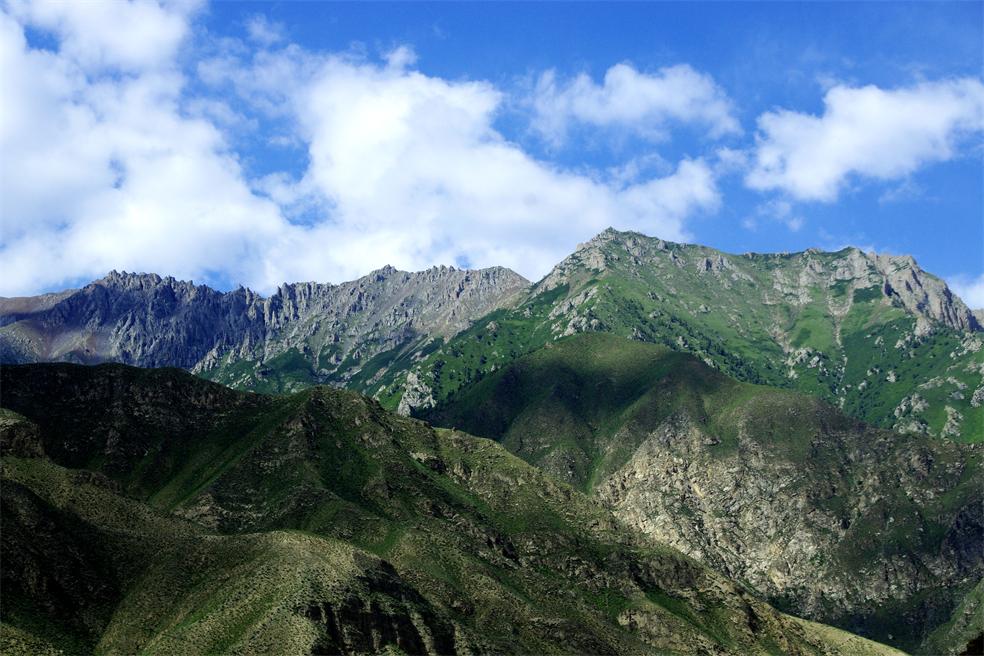 _igp1753_.jpg