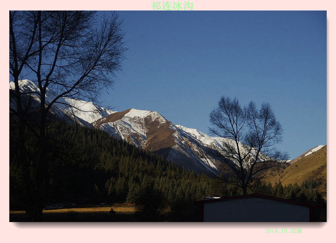 _igp6481.jpg