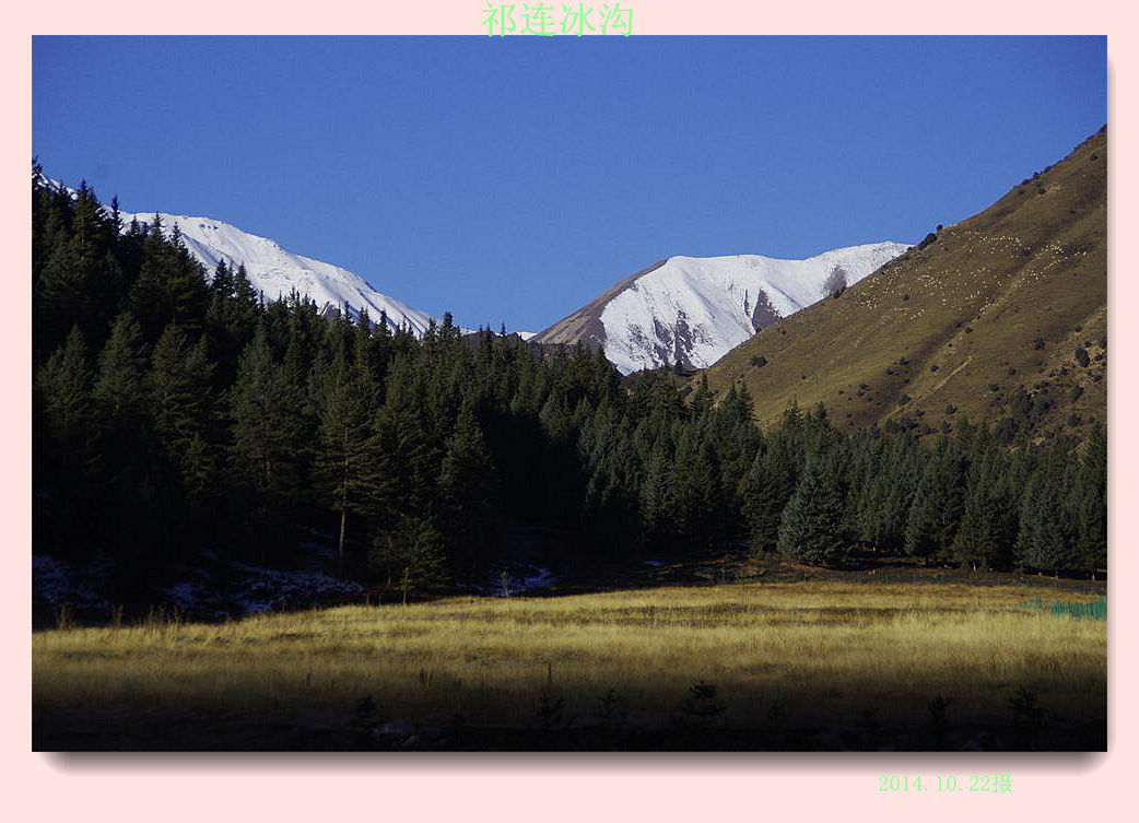 _igp6513.jpg