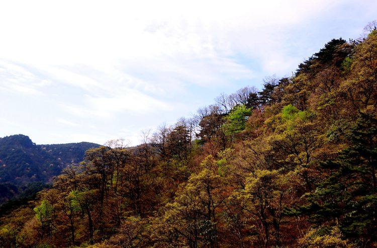 2015ﰲ΢կӢɽž 180_.jpg
