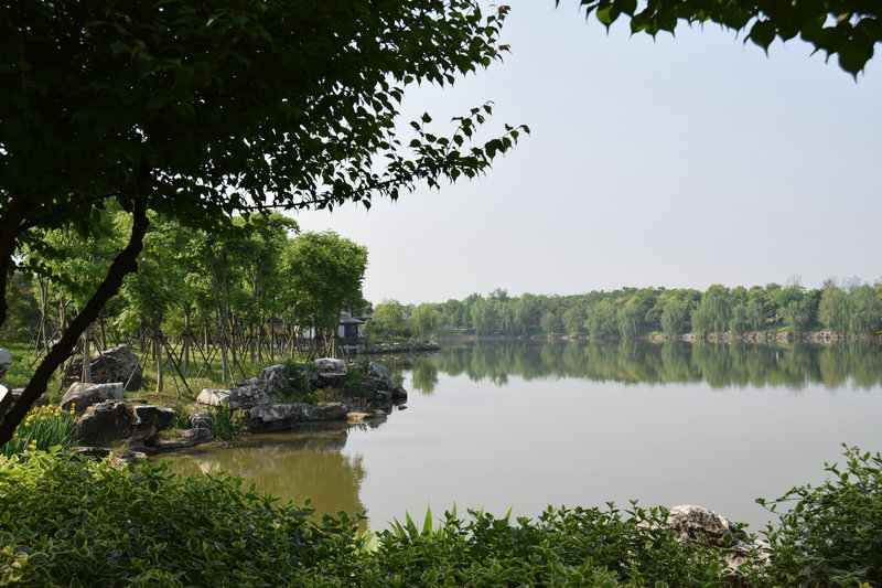 dsc_0093_1.jpg