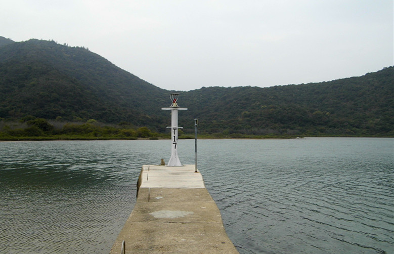dsci3229.jpg