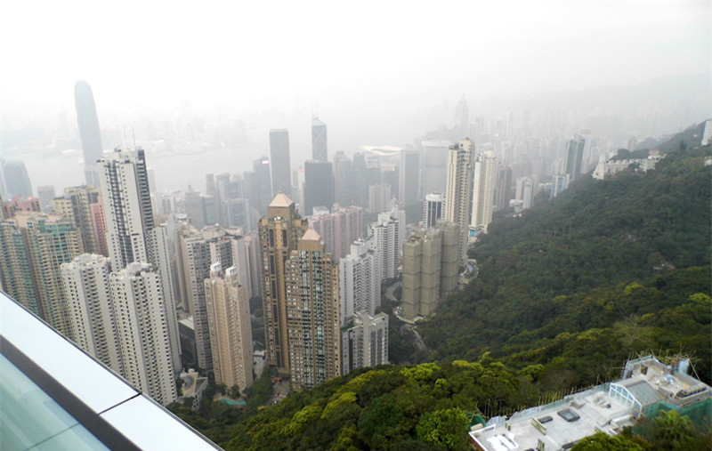 dsci3176.jpg