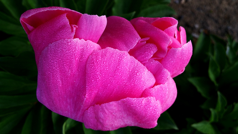 20150510_062610_.jpg