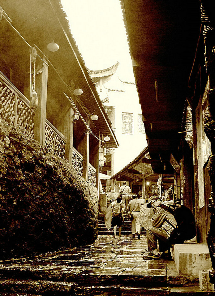 dsc_7435y.jpg