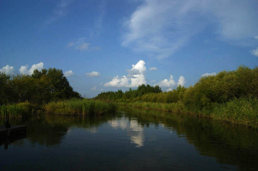 dsc05146.jpg