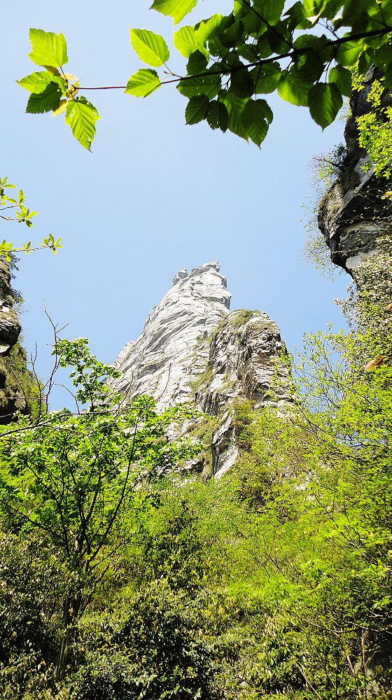 neo_img_dsc00383.jpg