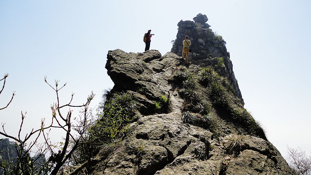 neo_img_dsc00404.jpg