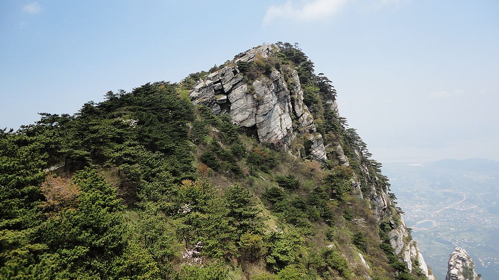 neo_img_dsc00526.jpg