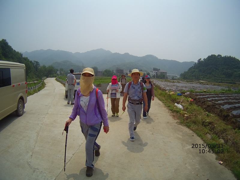 file0013.jpg