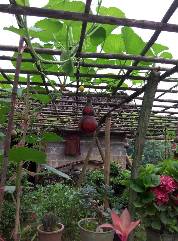 p50610-101226.jpg