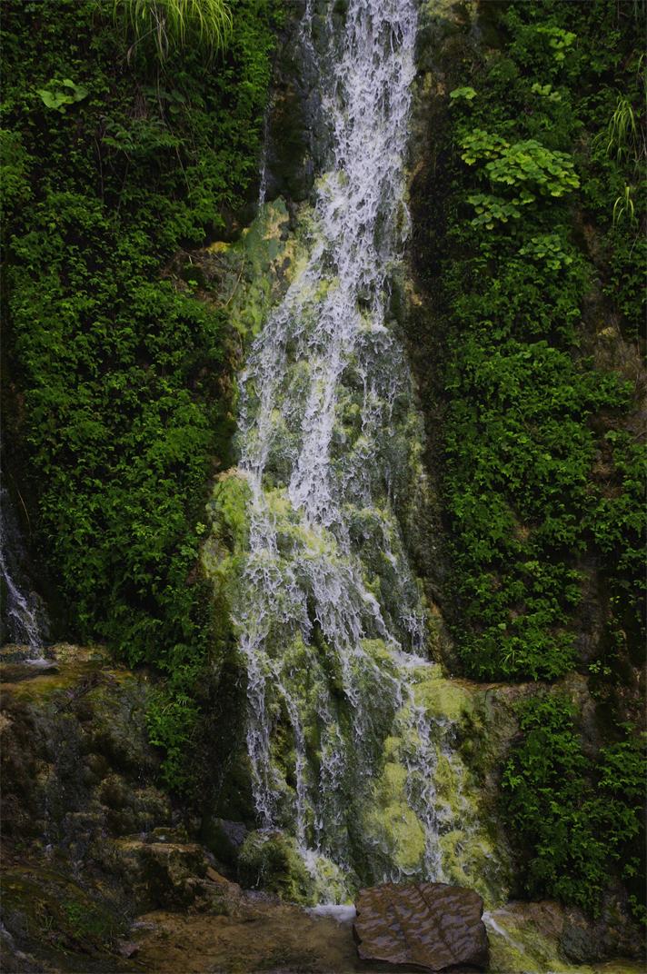 _igp7734.jpg