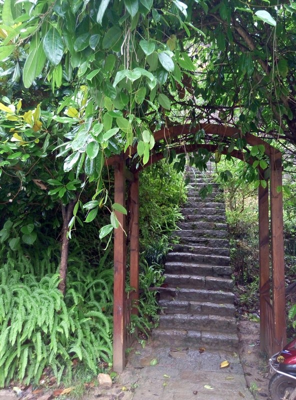 p50611-074008.jpg