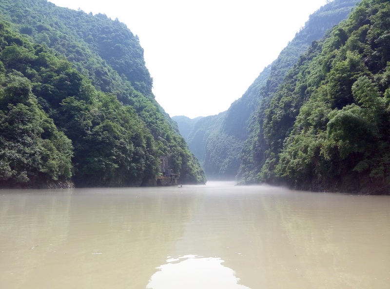 p50611-103419.jpg