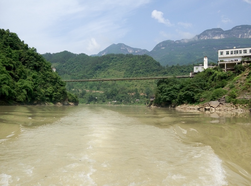 p50611-103134.jpg