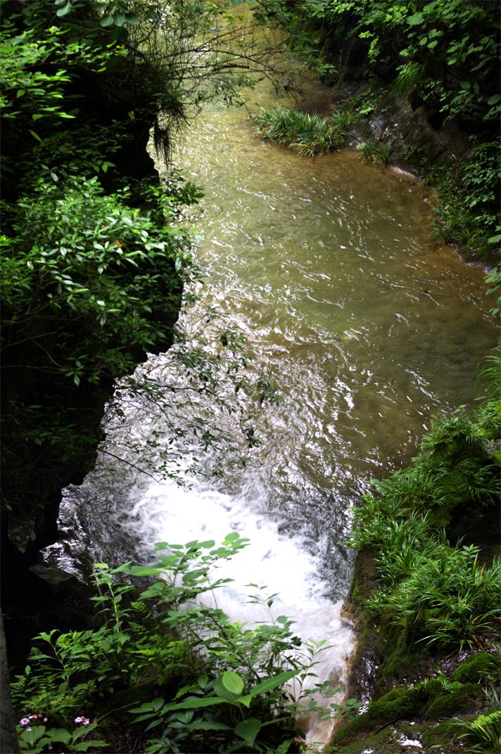 _igp7785.jpg