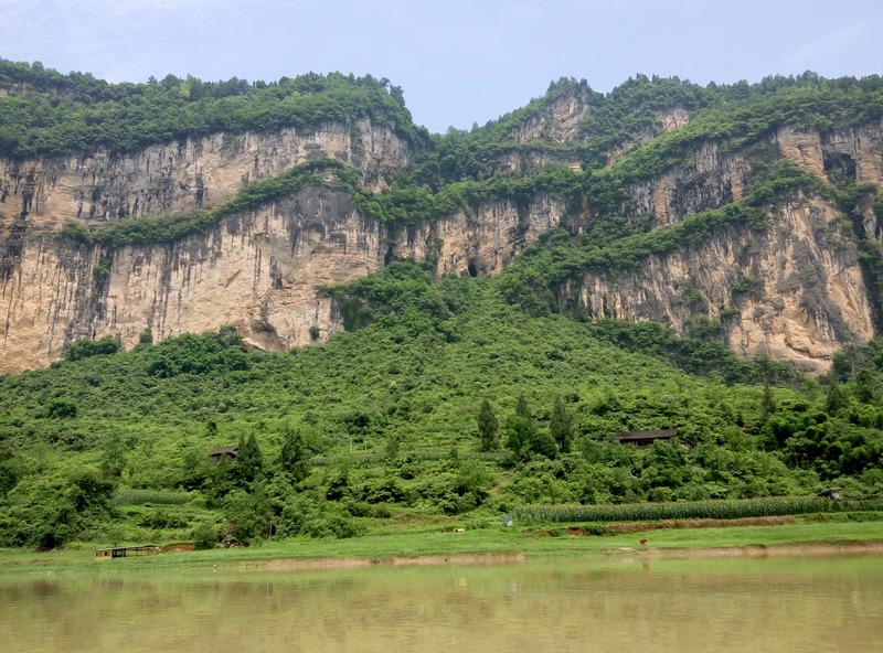 p50611-113727.jpg