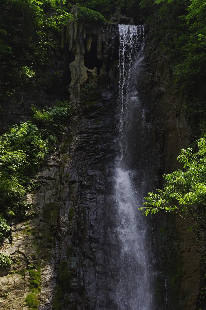 _igp7878.jpg