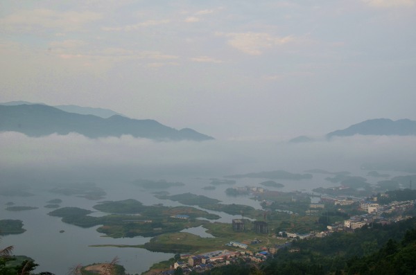 dsc_9738 - _.jpg