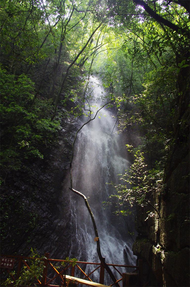 _igp7951.jpg