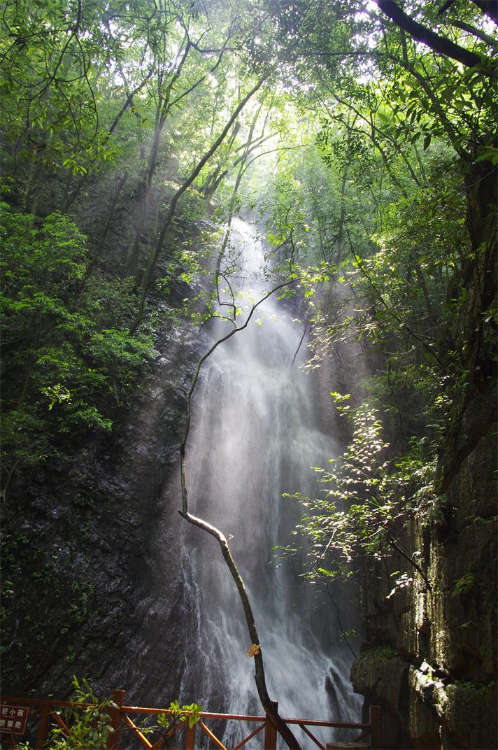 _igp7953.jpg
