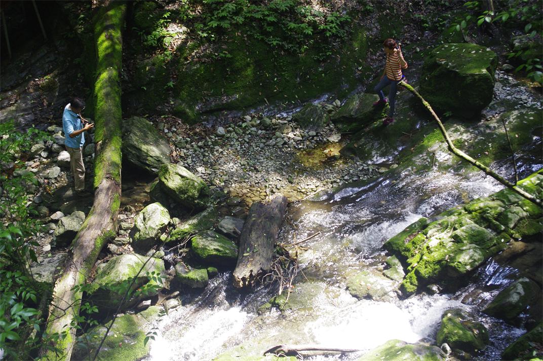 _igp7955.jpg