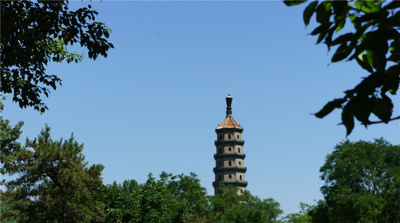 dsc01648_.jpg