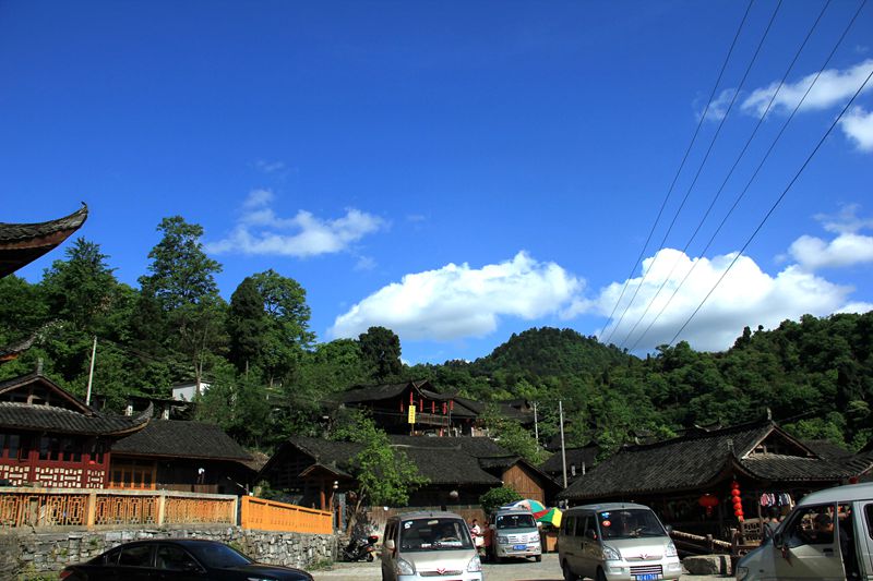 img_1445.jpg