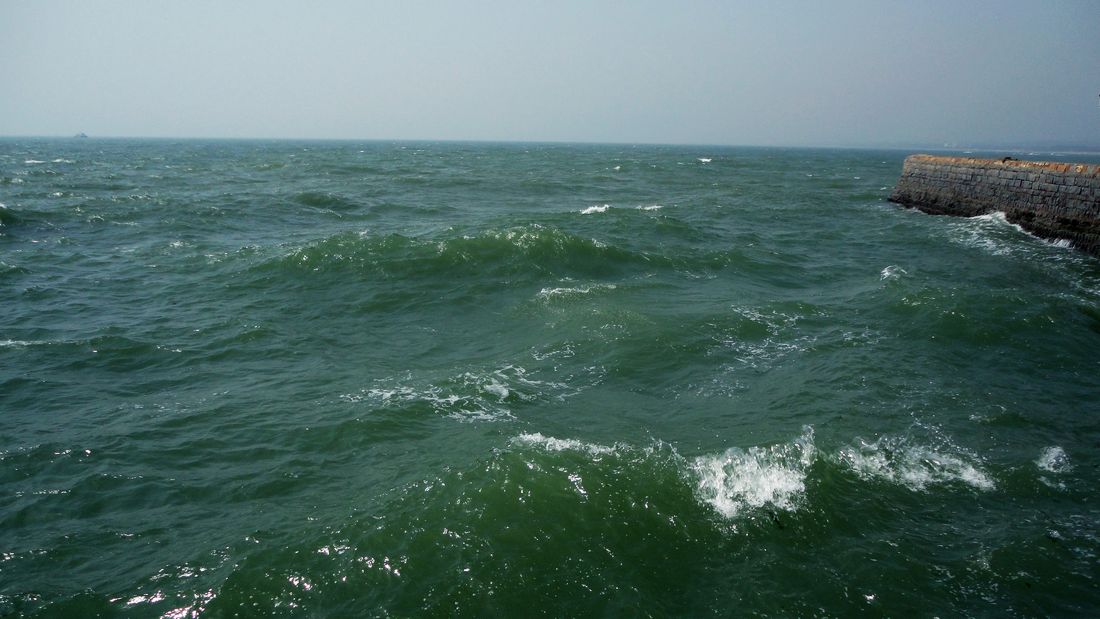 neo_img_dsc00875.jpg