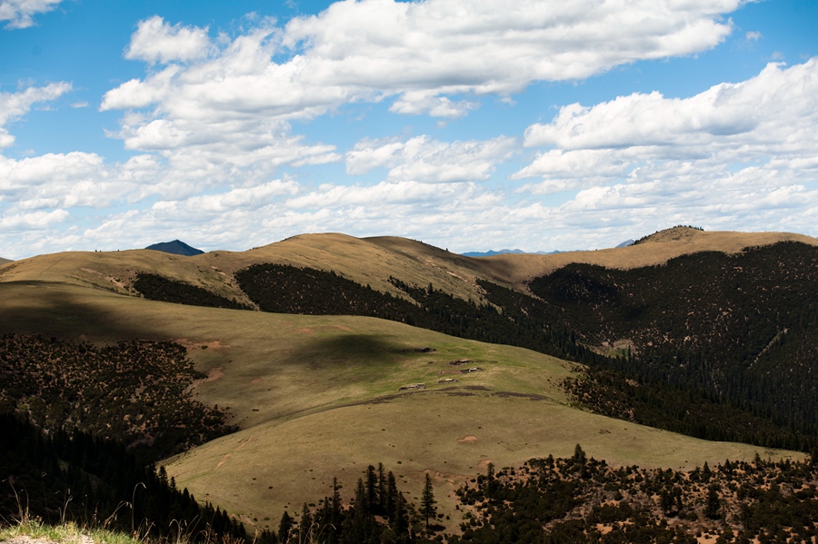 _dsc3187.jpg