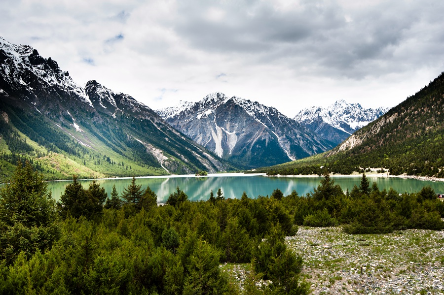 _dsc3663.jpg