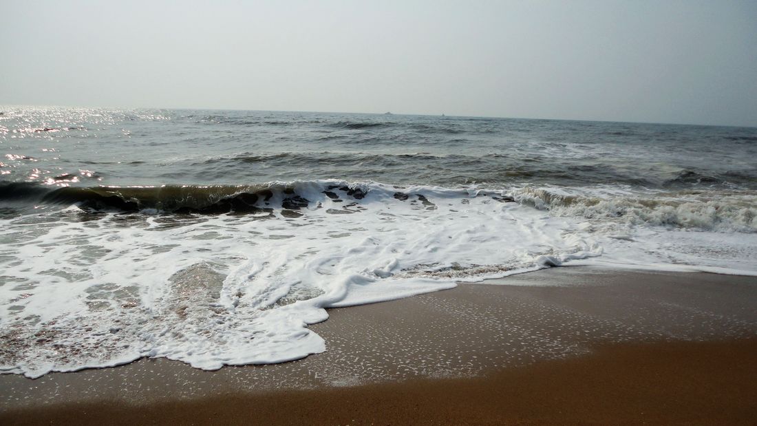 neo_img_dsc00950.jpg