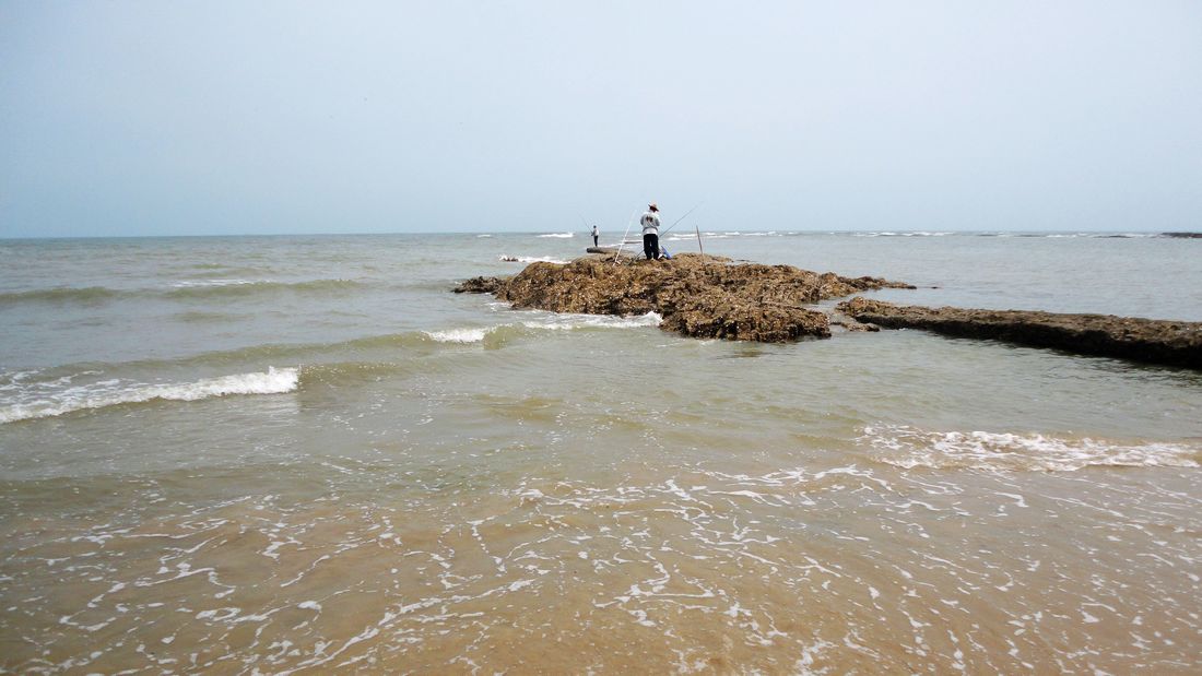 neo_img_dsc00988.jpg