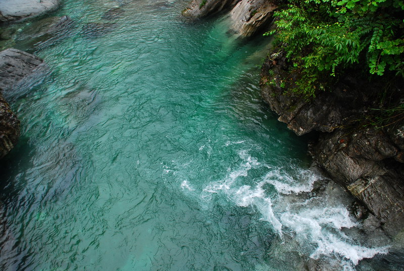 dsc_6704.jpg