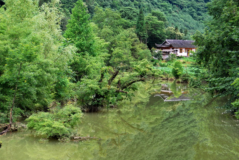 dsc_6778.jpg