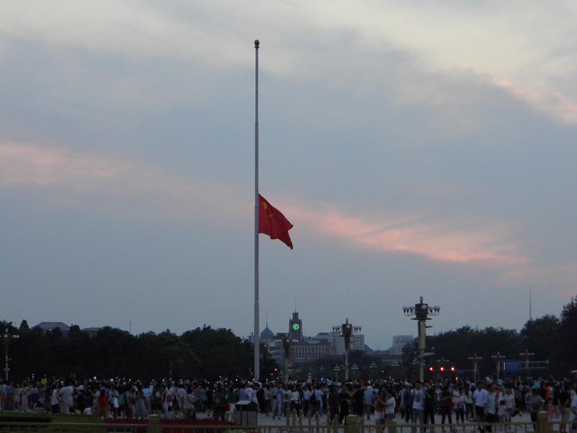 dsci3733.jpg