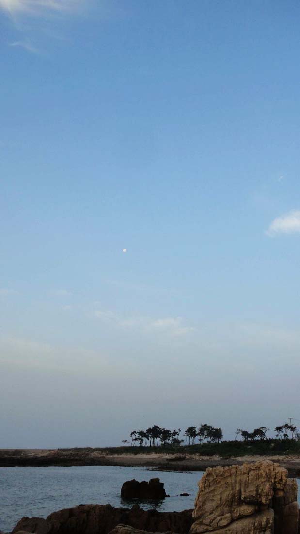 neo_img_dsc00852.jpg