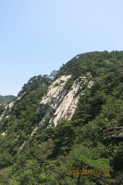 img_6381.jpg
