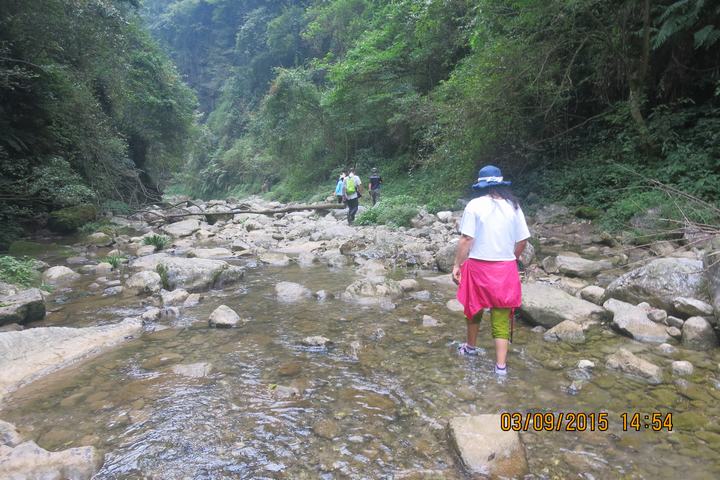 img_6990.jpg