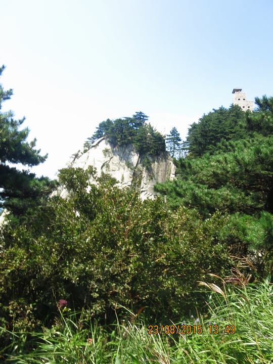 img_6467.jpg