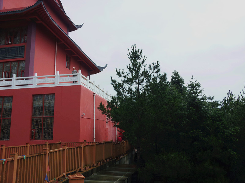 20150905_100551_.jpg