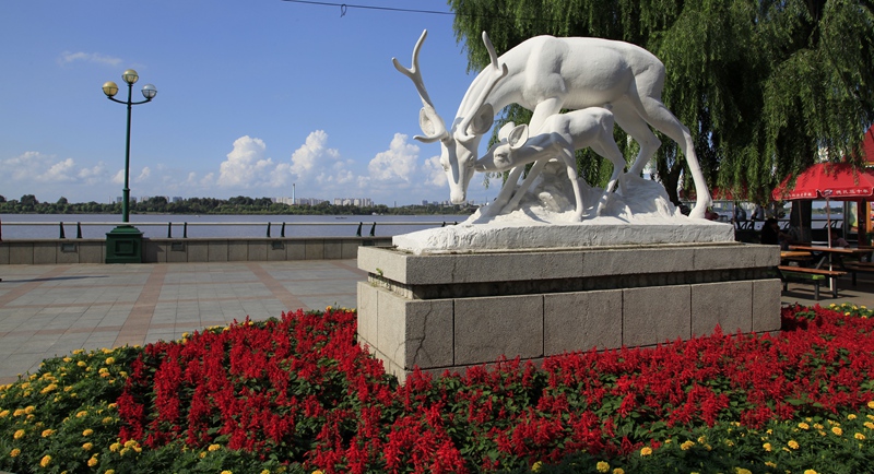 _mg_9773.jpg