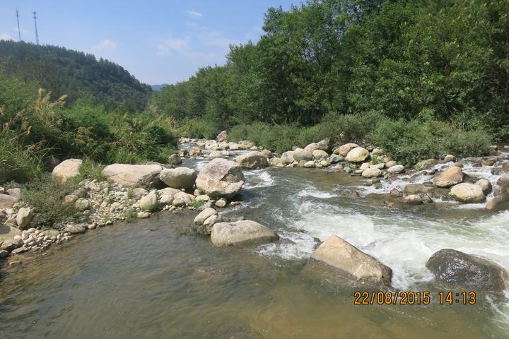 473_183033_d513fa9eaa35129.jpg