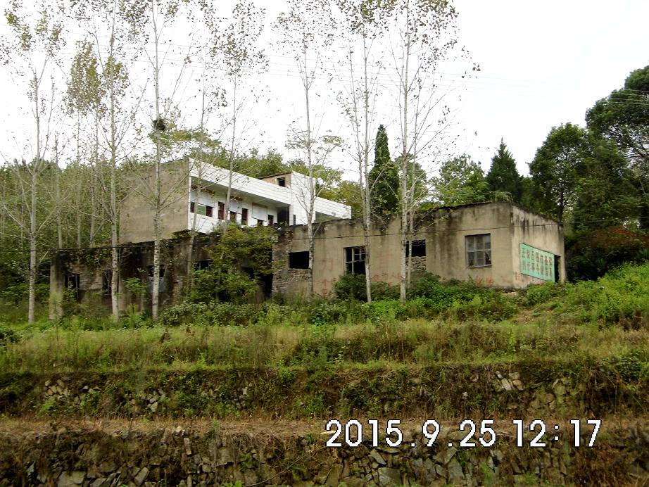 dsci4453.jpg