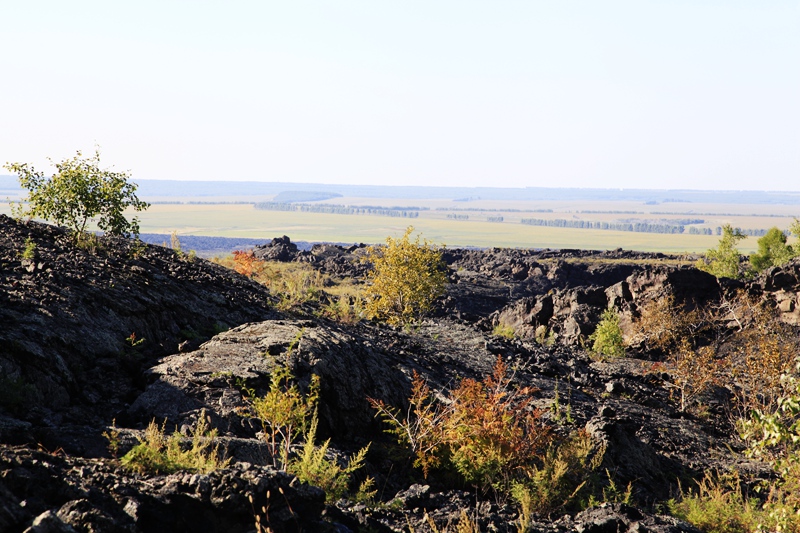 _mg_1574.jpg